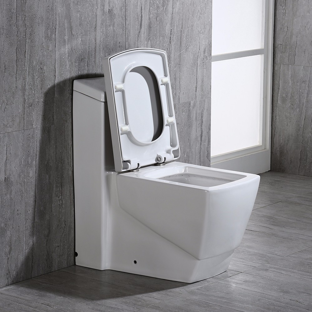  WOODBRIDGE T-0020 Dual Flush Elongated One Piece Toilet , Chair Height with Soft Closing Seat, Deluxe Square Design_10903