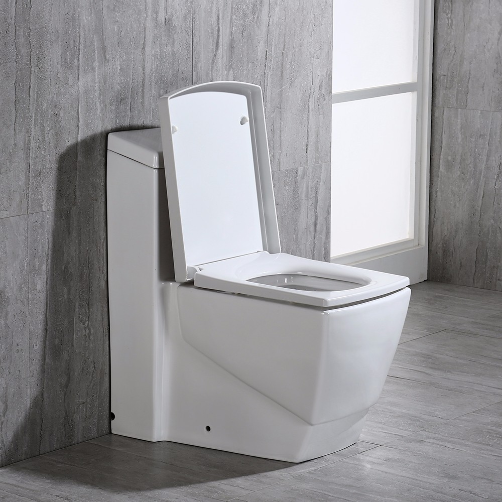  WOODBRIDGE T-0020 Dual Flush Elongated One Piece Toilet , Chair Height with Soft Closing Seat, Deluxe Square Design_10904