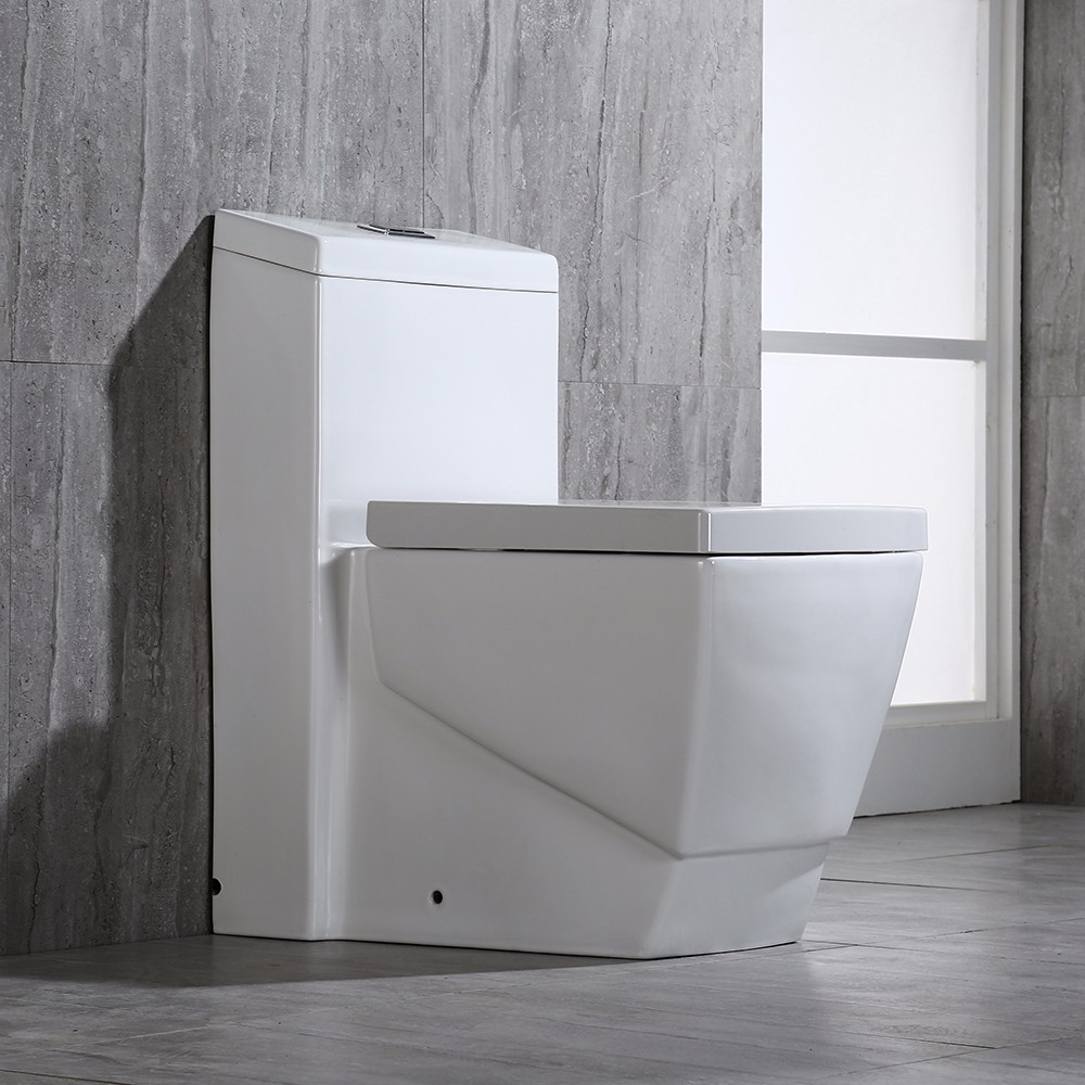  WOODBRIDGE T-0020 Dual Flush Elongated One Piece Toilet , Chair Height with Soft Closing Seat, Deluxe Square Design_10907