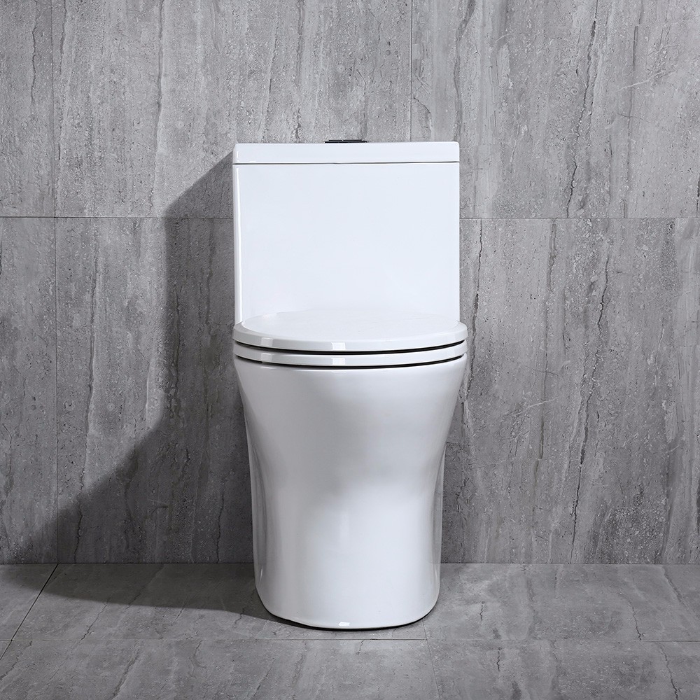  WOODBRIDGEBath T-0031 WOODBRIDGE T-0031 Short Compact Tiny One Piece Toilet with Soft Closing Seat, Small Toilet_10893