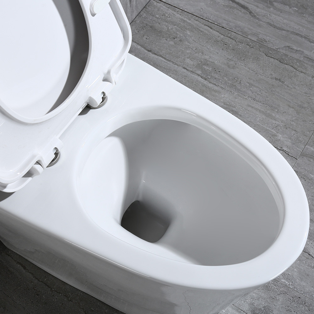  WOODBRIDGE T-0019, Dual Flush Elongated One Piece Toilet with Soft Closing Seat, Chair Height, Water Sense, High-Efficiency, T-0019 Rectangle Button_9921