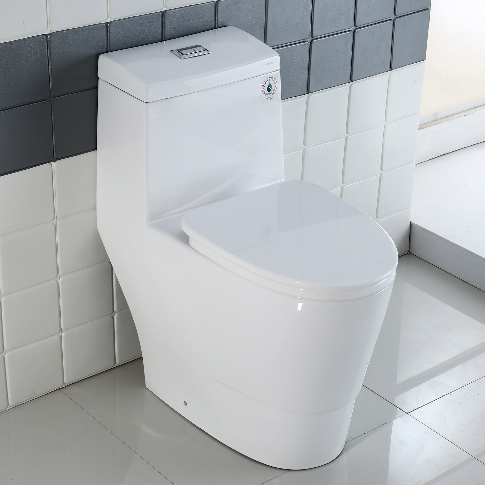 WOODBRIDGE  One Piece Dual Flush 1.0/1.6 Gpf,with Soft Closing Seat, White, Elongated Toilet, B0910/T-0035, Convenient 20