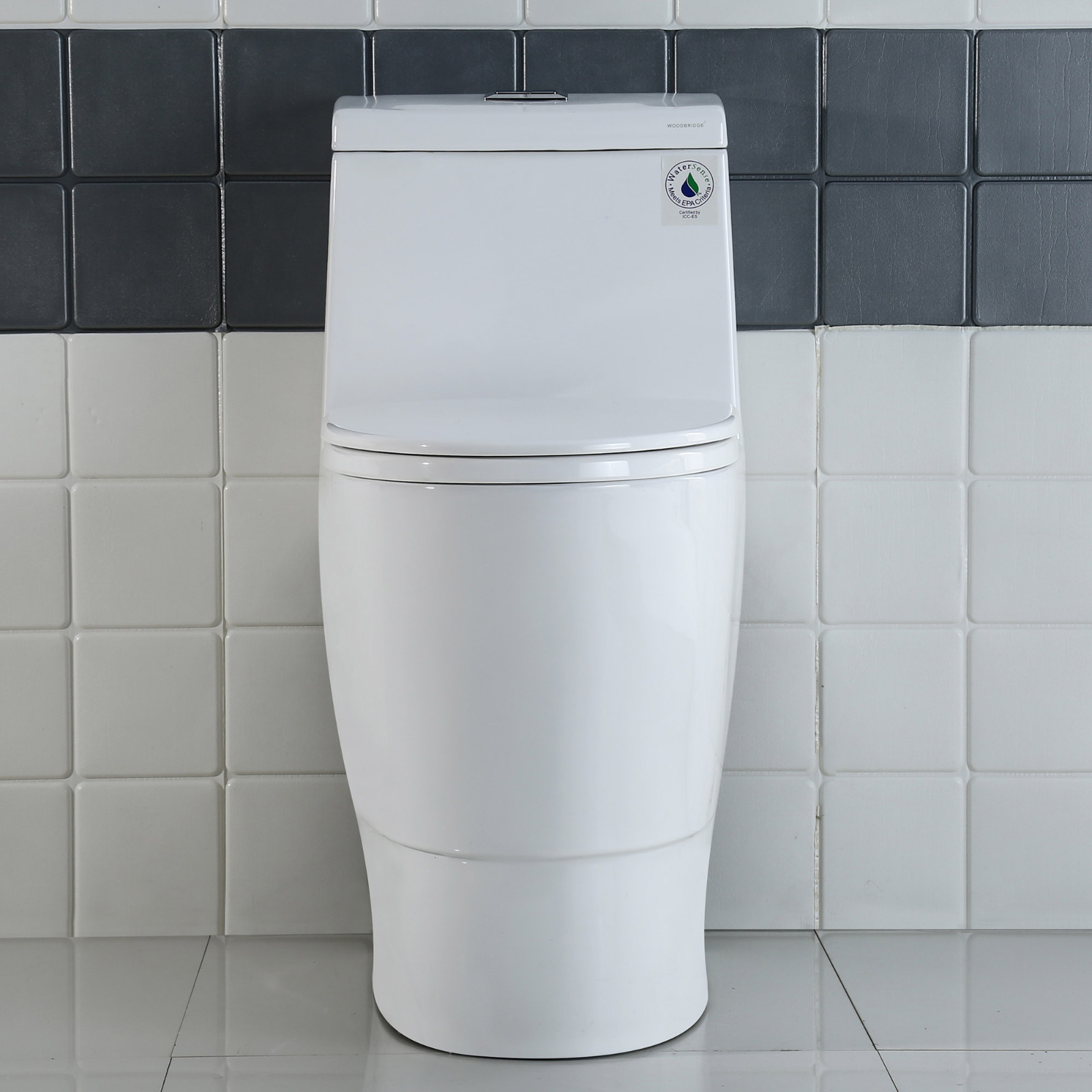  WOODBRIDGE  One Piece Dual Flush 1.0/1.6 Gpf,with Soft Closing Seat, White, Elongated Toilet, B0910/T-0035, Convenient 20