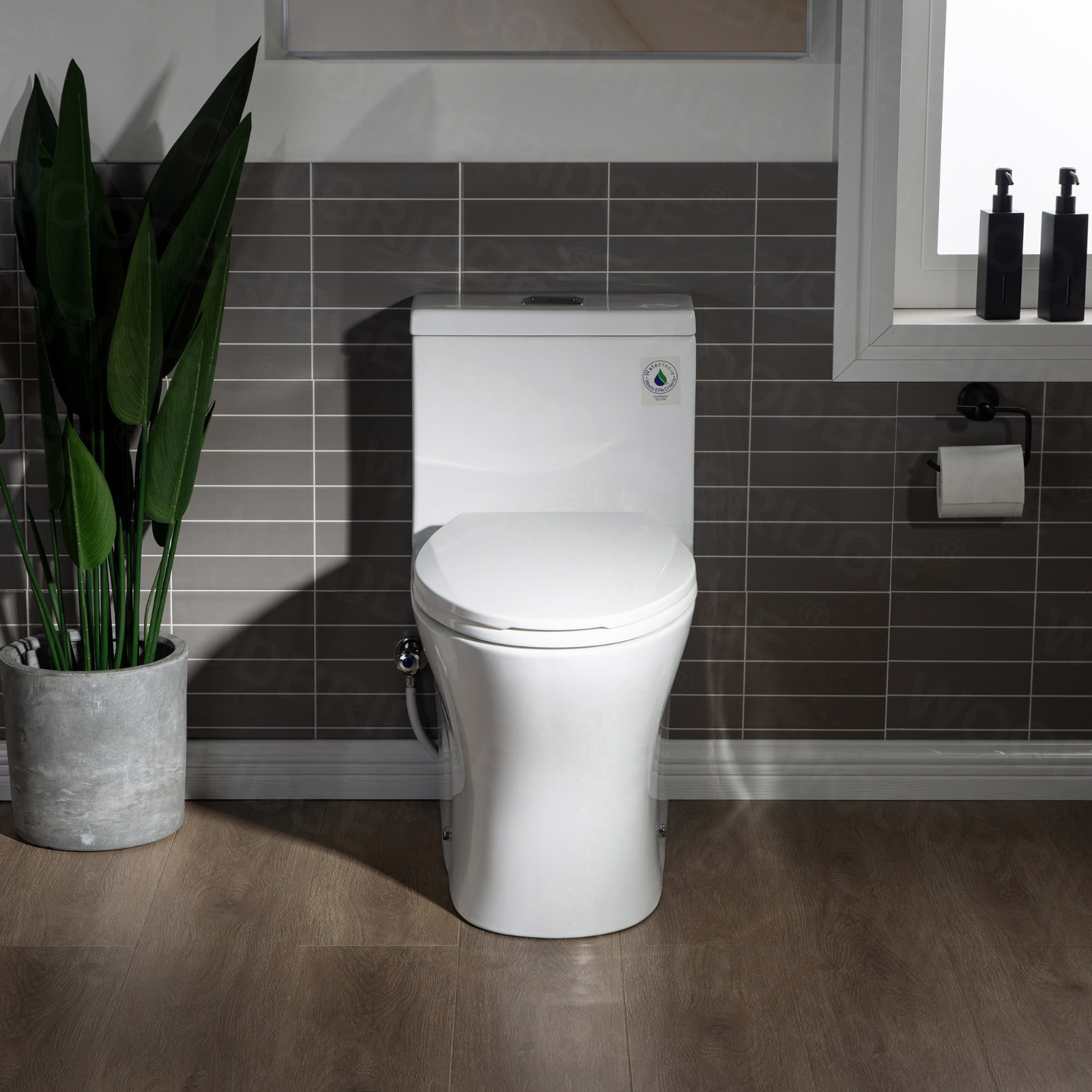  WOODBRIDGE Moder Design, Elongated One piece Toilet Dual flush 1.0/1.6 GPF,with Soft Closing Seat, white, T-0032_10787