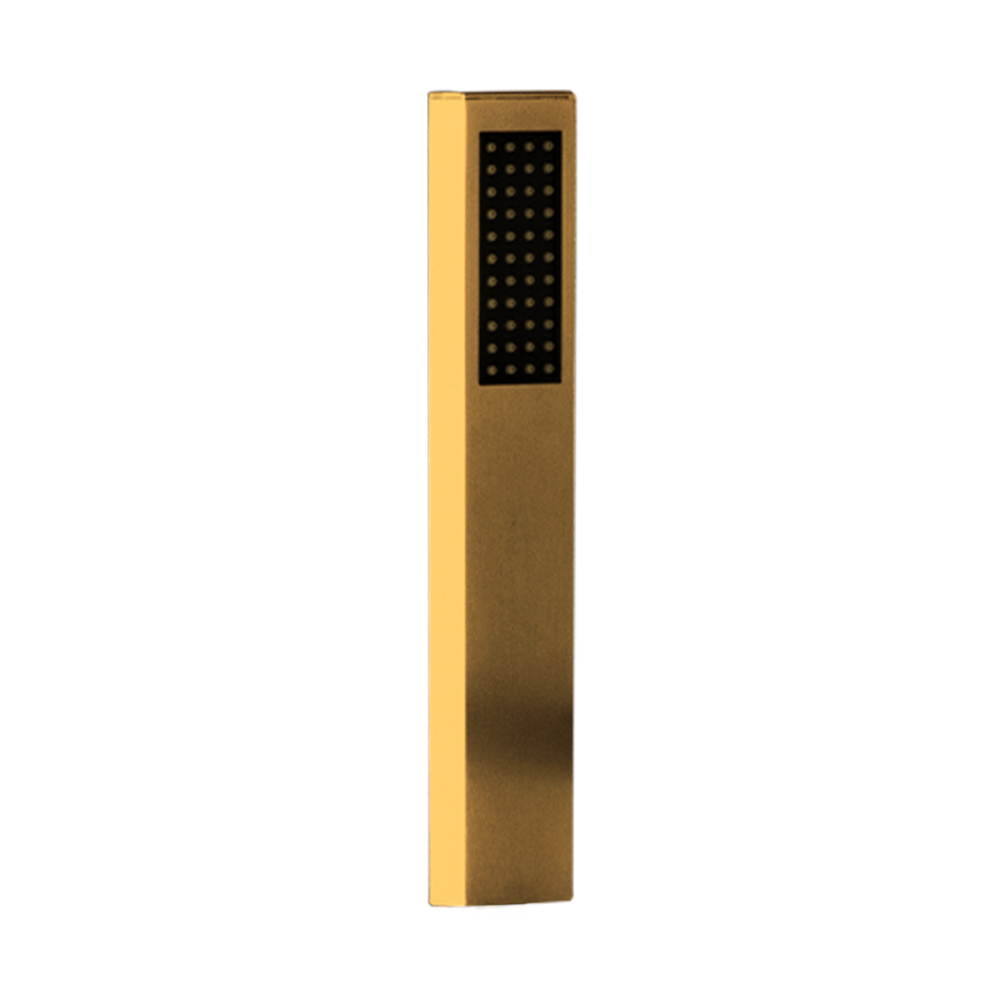 F0008BG Brushed Gold Handheld Shower