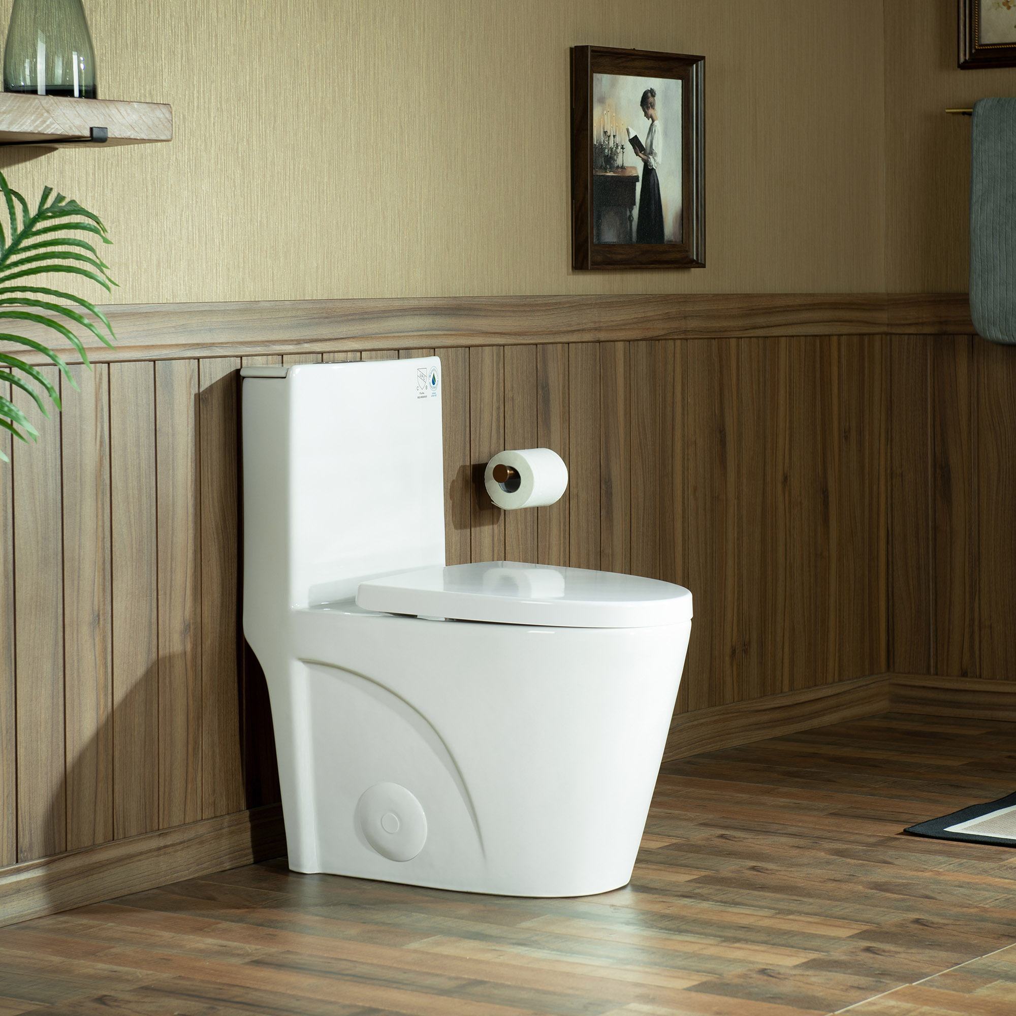 WOODBRIDGE One Piece Toilet with Soft Closing Lid, Chair Height, 1.28 GPF Dual, 1000 Gram MaP Flushing Score Toilet, Gloss White