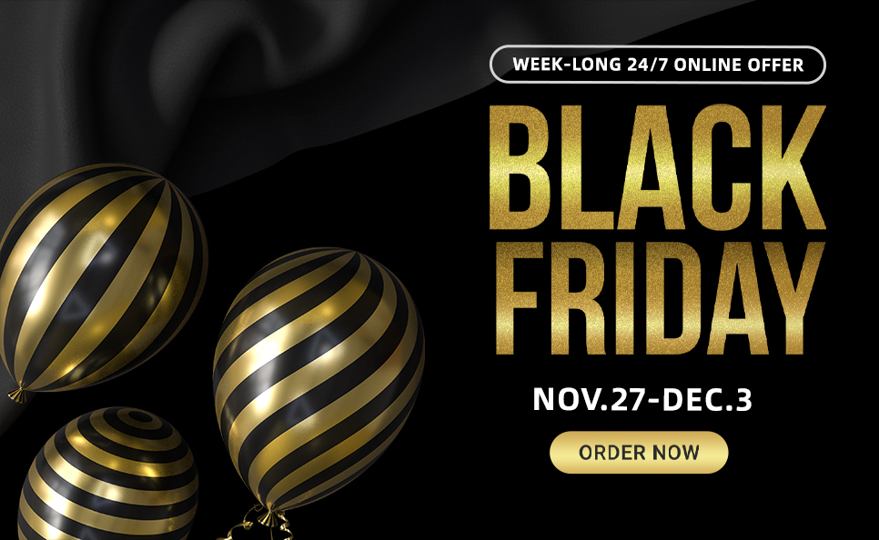 Black Friday Promotion