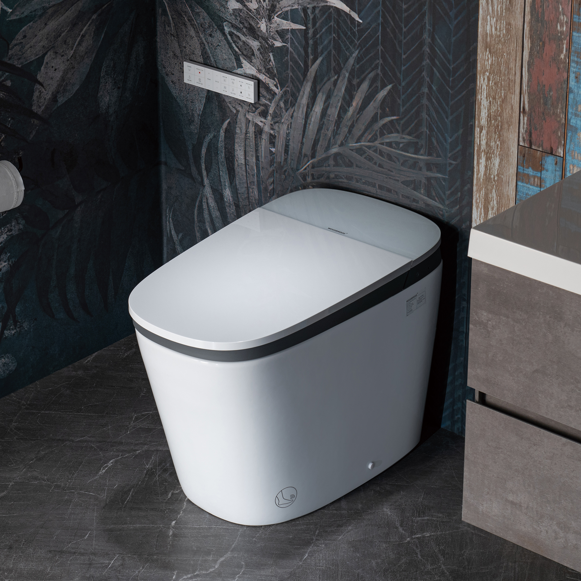 B0931S (2)